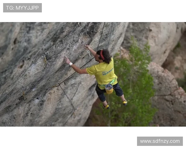 杭州攀岩队与西安攀岩队赛后战术分析与反思